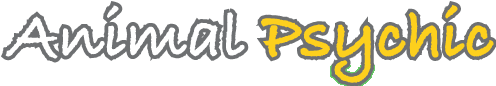 Animal Psychic Animal Psychic